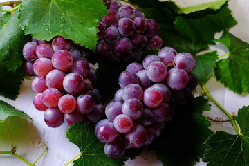 Grape Seed Extract: Blood Vessel & Performance Support