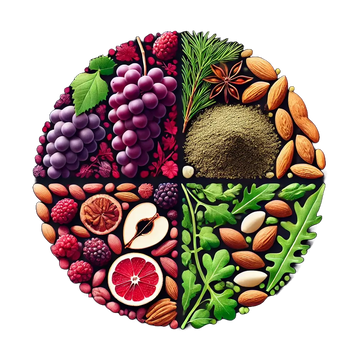 VasoFuel ingredients showing L-Arginine, arugula extract, grape seed extract and pine bark extract for nitric oxide and erection support
