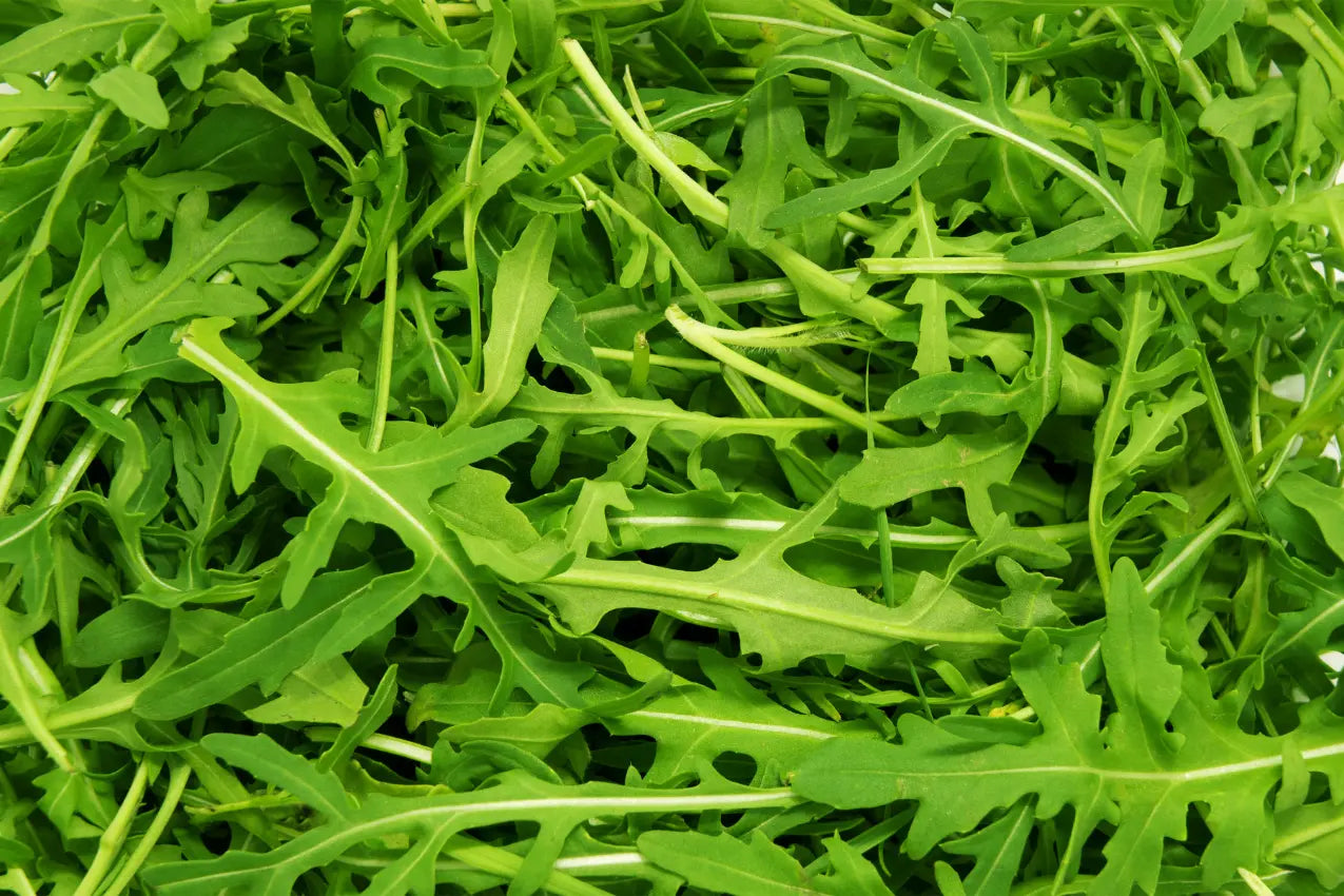 Fresh arugula leaves naturally high in nitrates for nitric oxide and erection support in VasoFuel