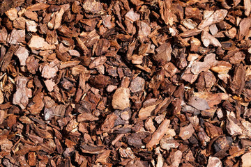 Pine bark extract supplement ingredient that boosts circulation, nitric oxide and erection support in VasoFuel drinks
